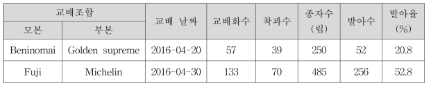 저장성 분자표지 개발을 위한 인공교배 결과