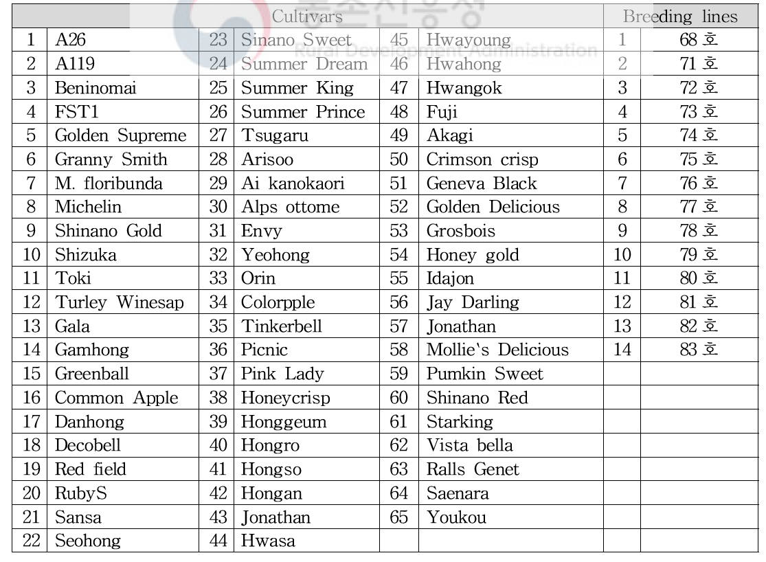 분석에 이용된 사과 유전자원 및 육성 계통
