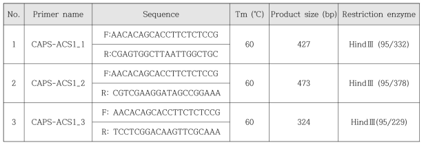 CAPS 분석에 사용된 Md-ACS1 SNP 프라이머 정보