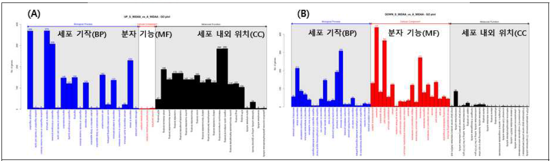 숙기 과실에 따른 DEGs의 기능분석 bar plot (A)Up-regulated DEGs, (B)Down-regulated DEGs