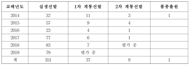 연차별 계통 선발 결과(종합)