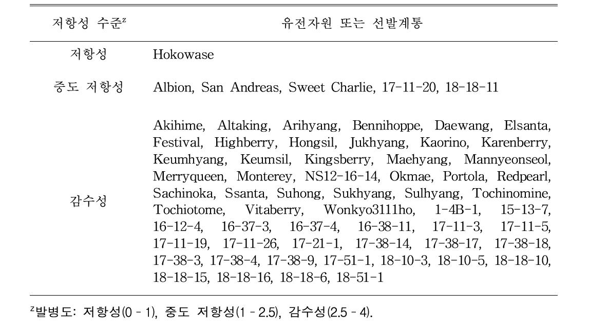 딸기 주요 유전자원 및 선발계통 탄저병 저항성 분류