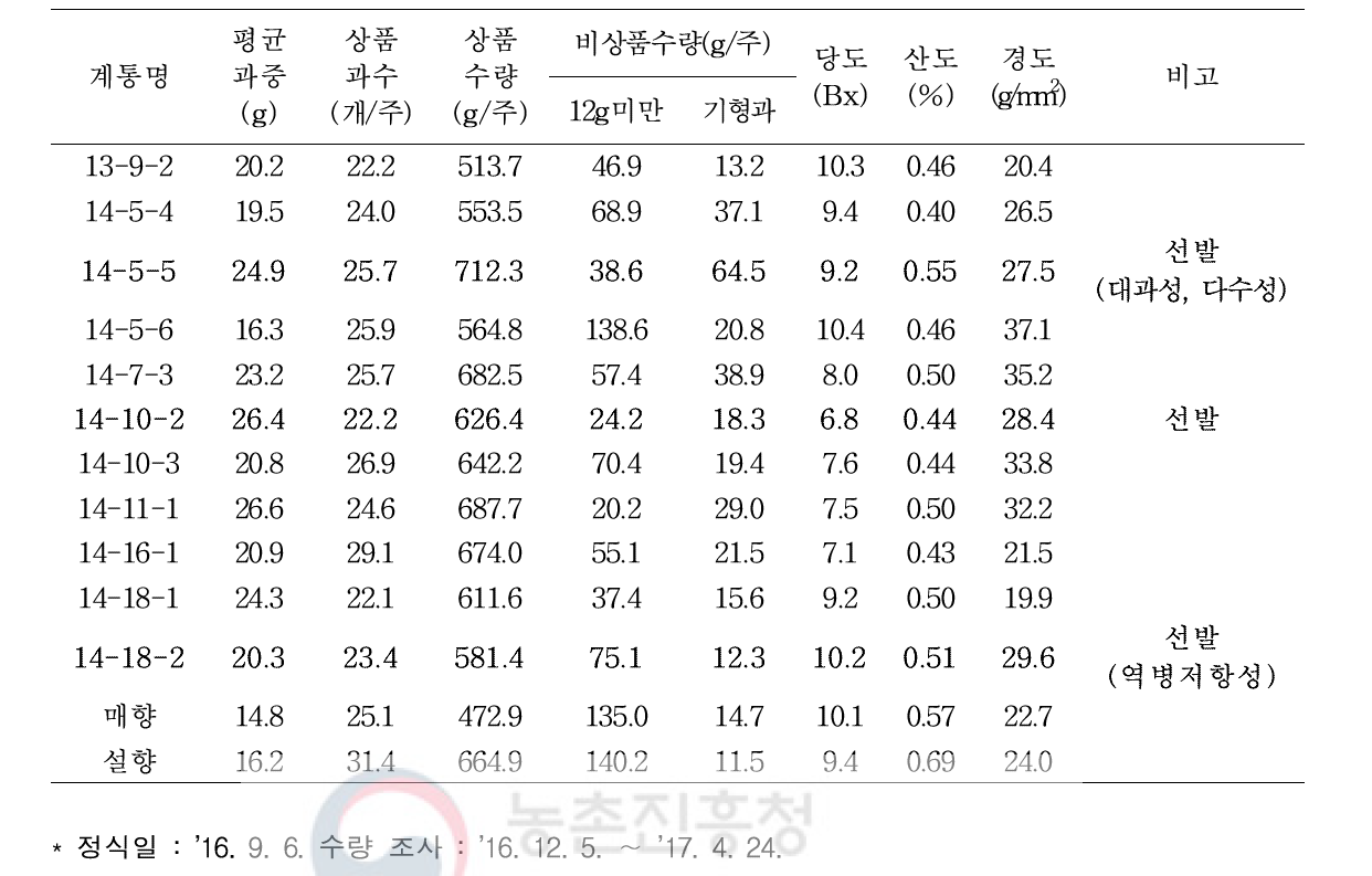 선발계통(’13년, ’14년 선발계통)의 수량성 및 과실 특성