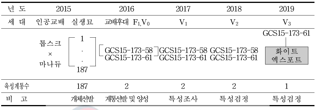 ‘화이트엑스포트’ 품종 육성 계보도
