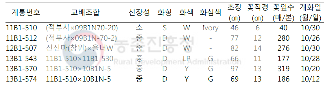 흰녹병저항성 유색유전자원을 이용한 백색스탠다드 국화 변이 확대