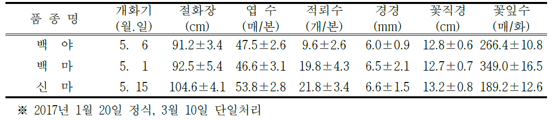 ‘백야’의 억제재배 특성