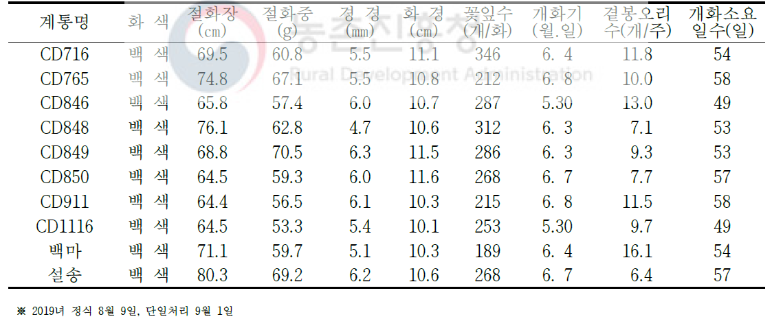 2019년 2차 선발 우수계통 생육 및 개화특성