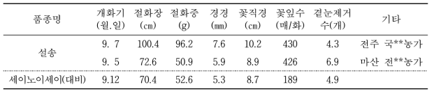 ‘설송’하계 고온기 생육특성(2016년, 농가시범재배)