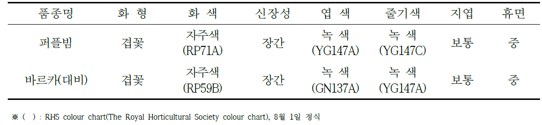 ‘퍼플빔’ 고유특성