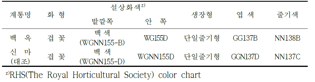 ‘백옥’품종의 고유특성