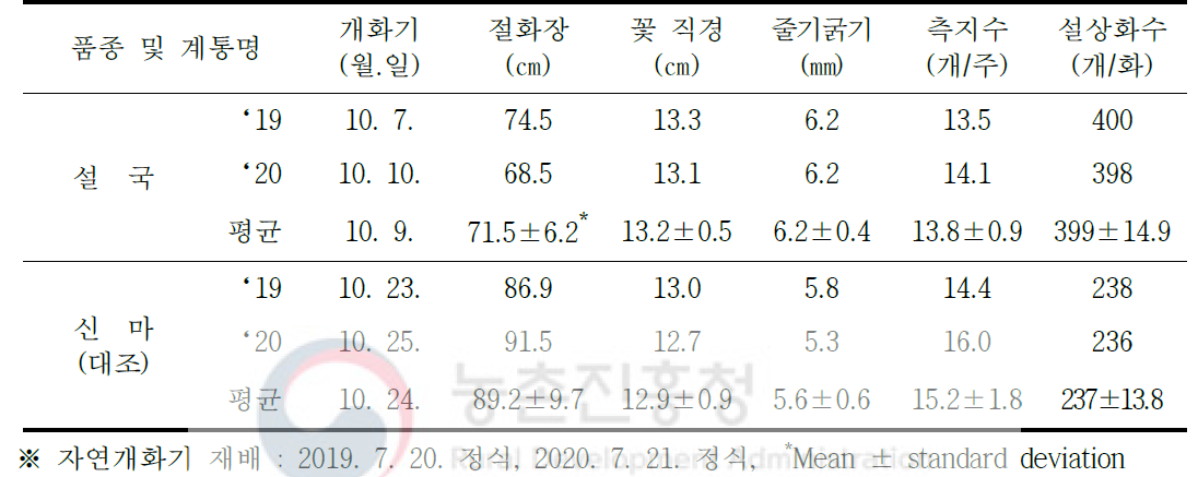 ‘설국’자연일장 재배특성