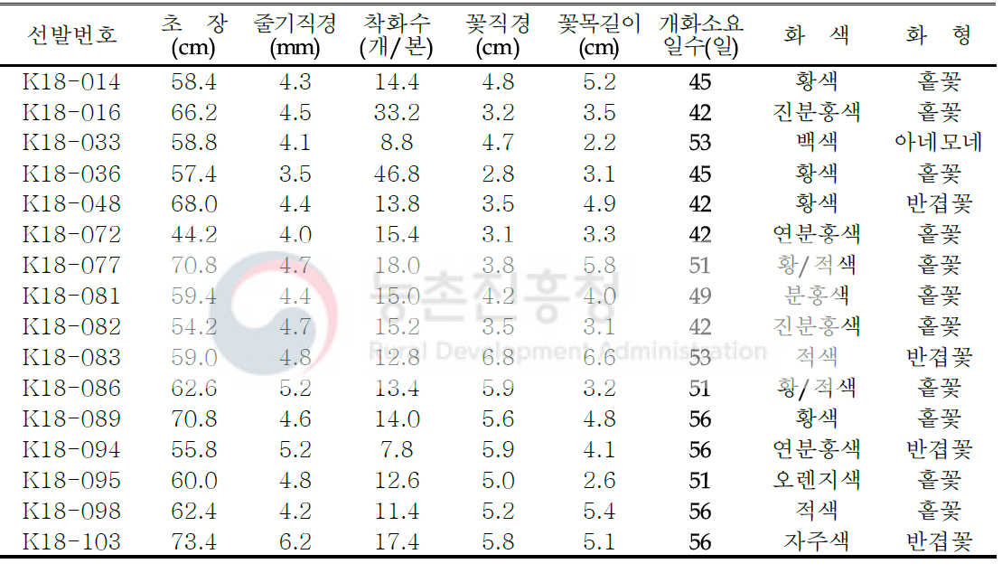 2018년 선발계통의 개화 특성