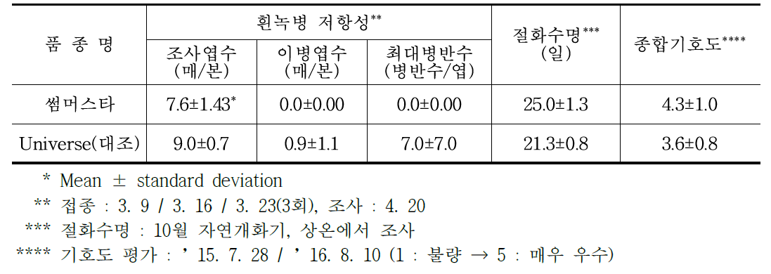 ‘썸머스타’ 품종 흰녹병 저항성, 절화수명, 기호성