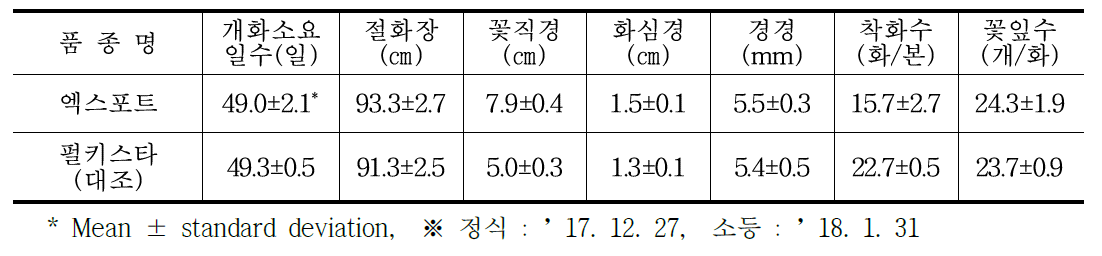 ‘엑스포트’ 품종 동계 억제재배 특성