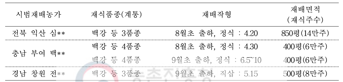 2016년 여름생산용 국산 스탠다드국화 시범재배 현황