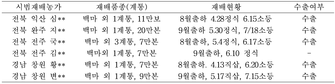 2017년 여름생산용 국산 스탠다드국화 시범재배 현황