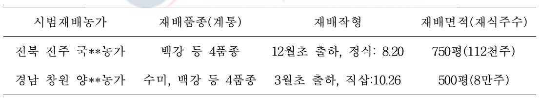 2016~2017 겨울 스탠다드 국화 신품종 시범재배 현황