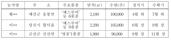 2017년 수출유망 국산국화 신품종 시범포 운영 : 3개소, 295,000주