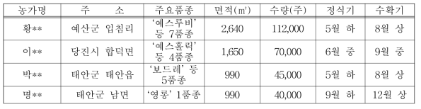 2019년 수출유망 국산국화 신품종 시범포 운영 : 4개소, 267,000주