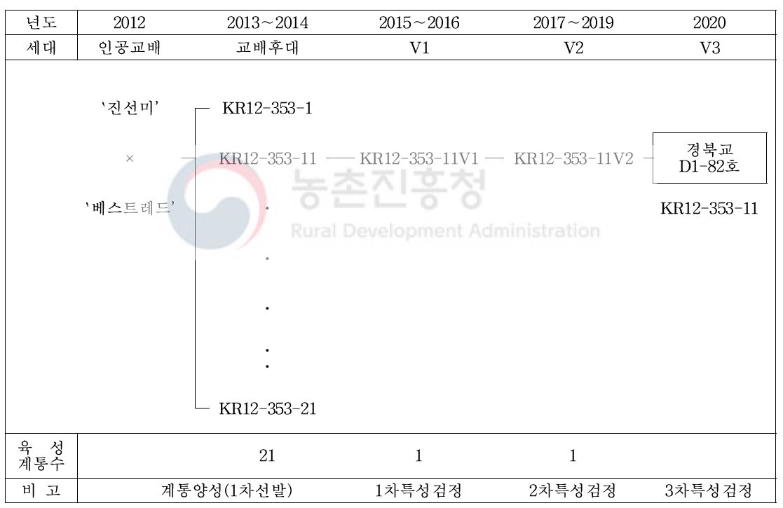 `샤이니레드’ 품종의 육성과정