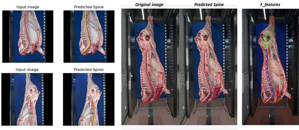 딥러닝을 이용한 척추 윤곽의 예측 및 특징 추출
