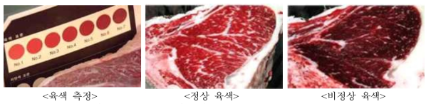 쇠고기 육색 등급기준 및 육색 측정 방법 (※ 축산물 등급판정 세부기준 참고)
