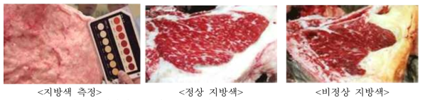 쇠고기 지방색 등급기준 및 측정 방법 (※ 축산물 등급판정 세부기준 참고)