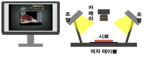 소 도체 RGB 영상 측정시스템