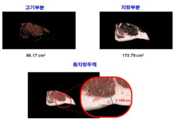 소 도체 고기 부분과 지방 부분 판정 영상