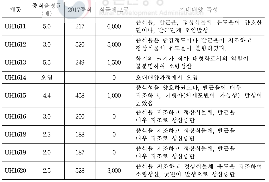 2016년 선발 국립원예특작과학원 육성 10계통 기내배양 특성