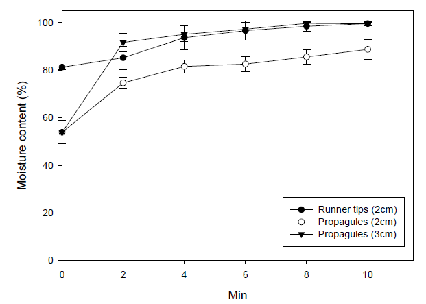 수위 및 양액 공급 시간에 따른 증식체 및 런너팁 배지의 수분 함량