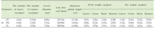 형광등, warm white 및 cool white 광원에 따른 증식체의 러너 발생량 및 생육