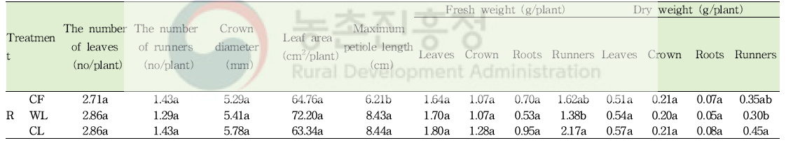 형광등, warm white 및 cool white 광원에 따른 러너 플랜트의 러너 발생량 및 생육