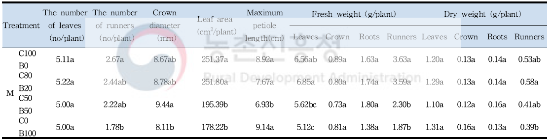 C:B=100:0. C:B=80:20, C:B=50:50 및 C:B=0:100 처리구에 따른 증식체의 러너 발생량 및 생육