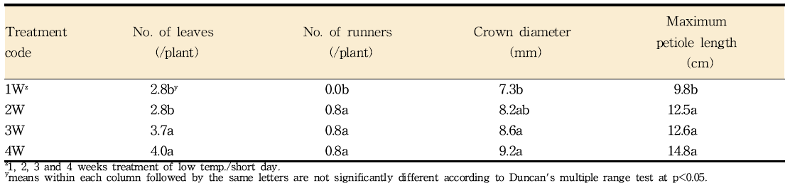 C10 저온 단일처리(1W, 2W, 3W 및 4W) 이후 딸기묘의 생육 특성