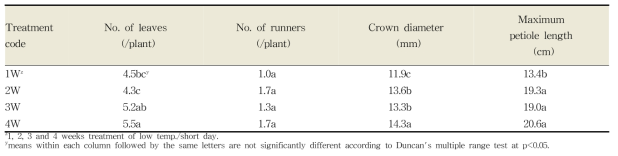 C5 저온 단일처리(1W, 2W, 3W 및 4W) 이후 딸기묘의 생육 특성
