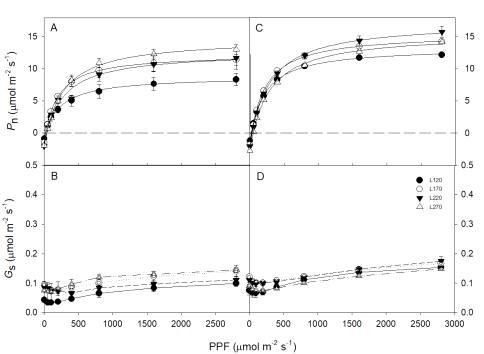 L120, L170, L220 및 L270에 따른 증식체(A 및 B) 및 러너 플랜트(C 및 D)의 순광합성량 및 기공전도도