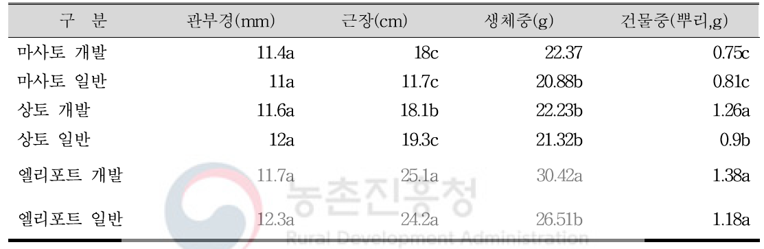 정식 14일 후 뿌리 발달 조사