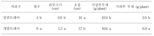 개발트레이가 자묘의 생육에 미치는 영향