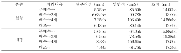 8월 31일(자묘 유인 2주 후) 처리별 지상부 생육 조사 (생분해성 종이포트)