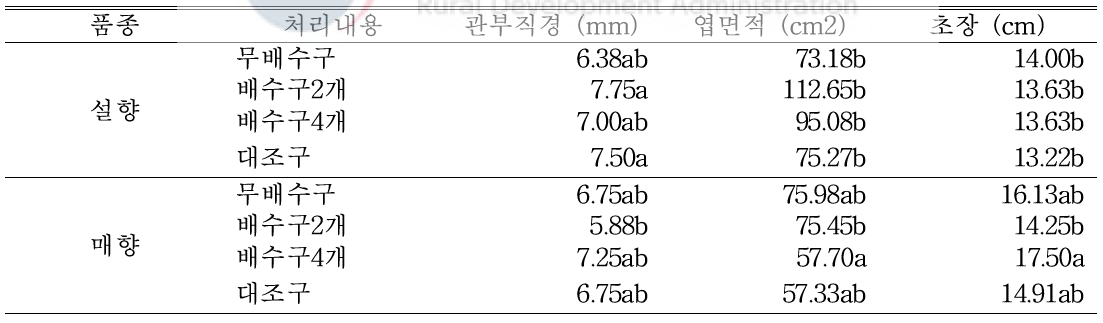 8월 31일(자묘 유인 2주 후) 처리별 지상부 생육 조사 (딸기전용상토)