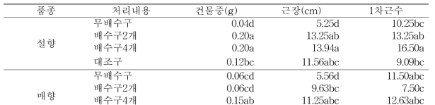 8월 31일(자묘 유인 2주 후) 처리별 근권부 생육 조사 (딸기전용상토)