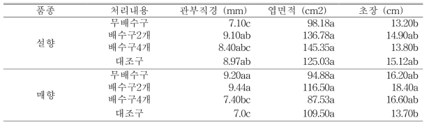 9월 8일(자묘 유인 3주 후) 처리별 지상부 생육 조사 (생분해성 종이포트)