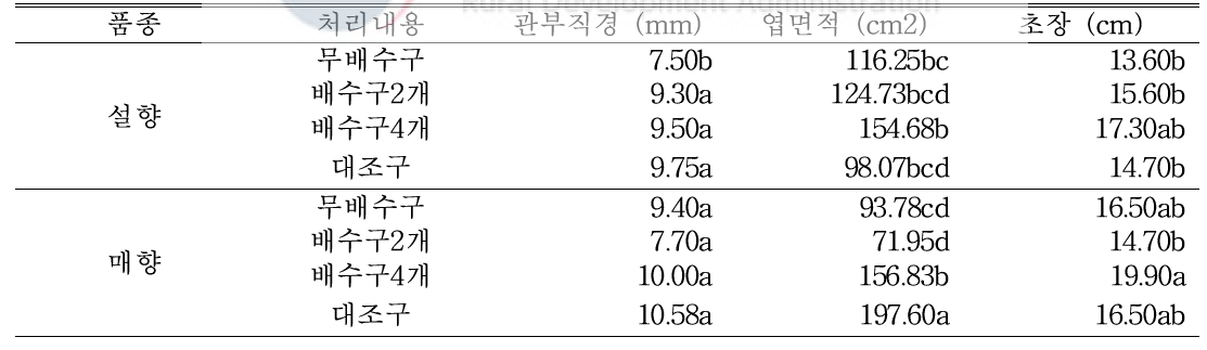 9월 8일(자묘 유인 3주 후) 처리별 지상부 생육 조사 (딸기전용상토)