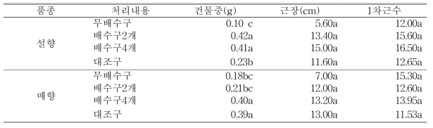 9월 8일(자묘 유인 3주 후) 처리별 근권부 생육 조사 (딸기전용상토)