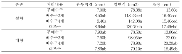 9월15일(자묘 유인 4주 후) 처리별 지상부 생육 조사 (생분해성 종이포트)