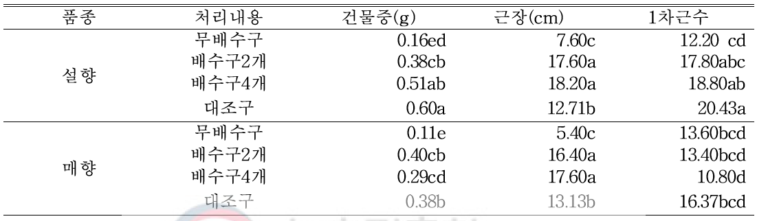 9월15일(자묘 유인 4주 후) 처리별 근권부 생육 조사 (생분해성 종이포트)