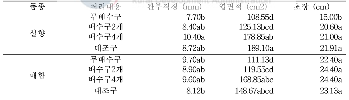 9월15일(자묘 유인 4주 후) 처리별 지상부 생육 조사 (딸기전용상토)