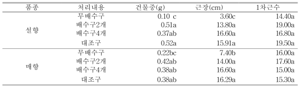 9월15일(자묘 유인 4주 후) 처리별 근권부 생육 조사 (딸기전용상토)