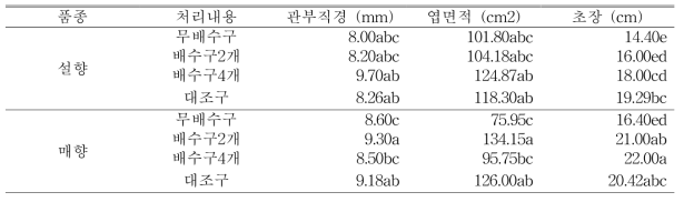 9월 25일(자묘 유인 5주 후) 처리별 지상부 생육 조사 (생분해성 종이포트)